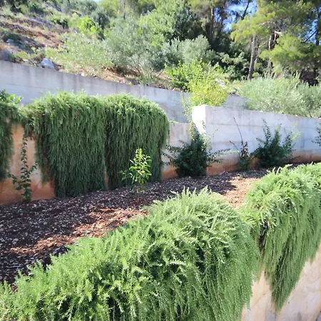 Prapatna 5704b * Jelsa (Hvar)